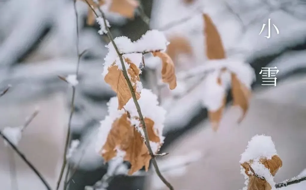 Minor Snow - Kisa Pou Konnen